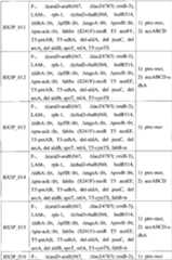 Figure BPA00001563191501581