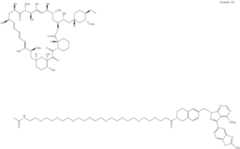 Figure US12048749-20240730-C00567