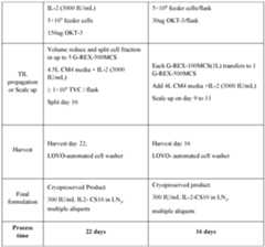 Figure imgf000449_0001