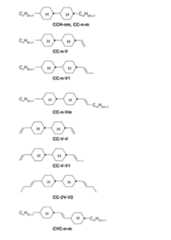 Figure 2024079817000094