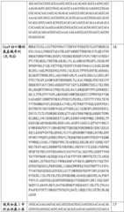 Figure BDA0002508391090000961