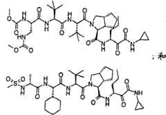 Figure G2009101493490D01621