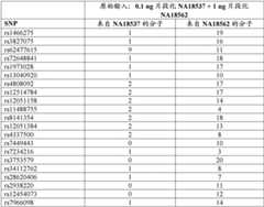 Figure BDA0003189799940000352