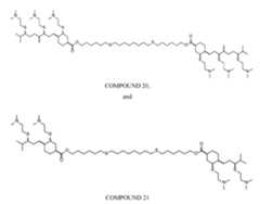 Figure imgf000024_0001