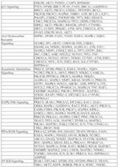 Figure imgf000052_0001