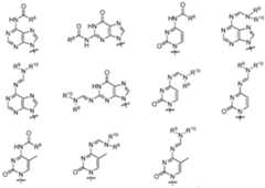 Figure imgf000371_0001