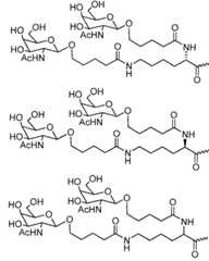 Figure imgf000064_0001