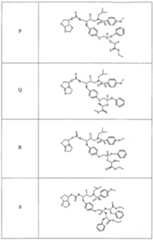 Figure imgf000015_0001