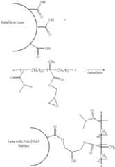 Figure US06440571-20020827-C00022