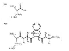 Figure 941035700_IMG22