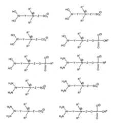 Figure 2022028855000014