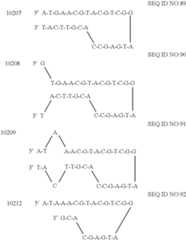 Figure US06391551-20020521-C00005