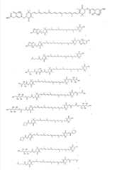 Figure GSA00000093394400331