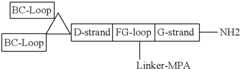 Figure US08907053-20141209-C00094
