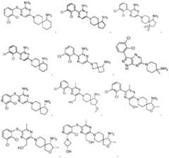 Figure imgf000016_0001