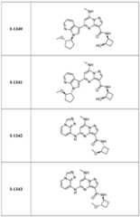 Figure imgf000381_0001
