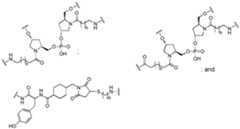 Figure imgf000363_0003