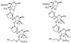 Figure imgf000107_0002