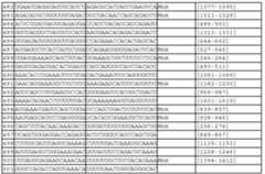 Figure 112011031303859-pct00354