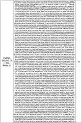 Figure BDA0002480009020001431