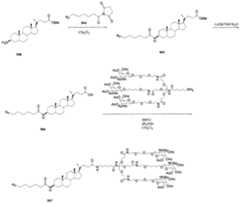 Figure imgf000153_0001