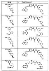 Figure 112007011503269-PCT00176