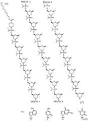 Figure imgf000020_0001