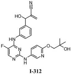Figure BDA0001453135130003321