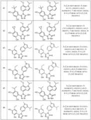 Figure imgf000036_0001