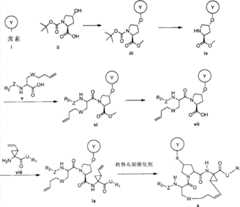 Figure G2008101743025D00101