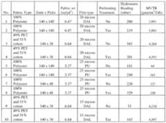 Figure imgf000012_0001