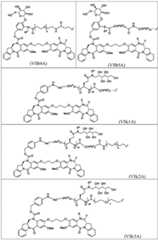 Figure BDA0003285627320000991