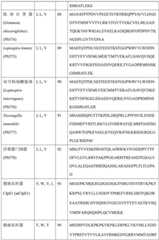 Figure BDA0004113681710000471