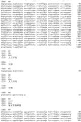 Figure IDA0002536600790000441