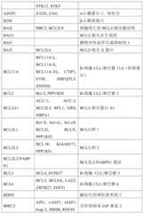 Figure BDA0001878096640000361