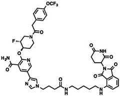 Figure BDA0002964098100002251