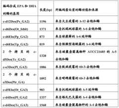 Figure BDA0001349734580002741