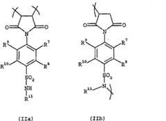 Figure FSB00000124972100011
