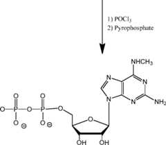 Figure AU2019202835A1_D0323