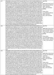 Figure BDA0004183790070000921