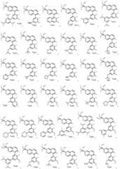 Figure FDA0003048026930000121