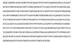 Figure 108144714-A0101-12-0091-370