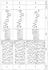 Figure 112006077693653-pct00170