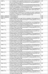 Figure BDA0000990669020001241