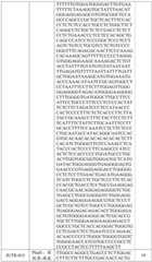 Figure BDA0002572923940000711