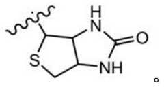 Figure BDA0003670511740002137