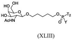 Figure BDA0003357312860002972