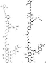 Figure FDA0002589091410000021