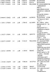 Figure BPA00001280678302351