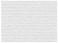 Figure imgf000040_0002